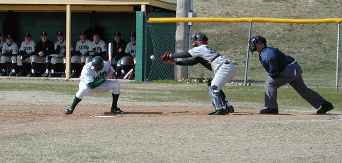 a2239.jpg (61553 bytes)